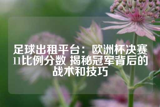 足球出租平台：欧洲杯决赛11比例分数 揭秘冠军背后的战术和技巧