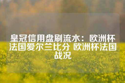 皇冠信用盘刷流水：欧洲杯法国爱尔兰比分 欧洲杯法国战况