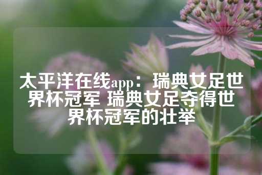 太平洋在线app：瑞典女足世界杯冠军 瑞典女足夺得世界杯冠军的壮举