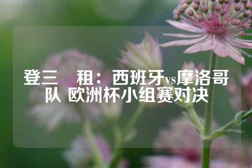 登三岀租：西班牙vs摩洛哥队 欧洲杯小组赛对决