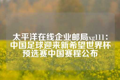 太平洋在线企业邮局xg111：中国足球迎来新希望世界杯预选赛中国赛程公布