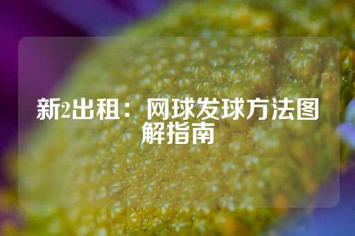 新2出租：网球发球方法图解指南