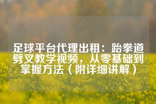 足球平台代理出租：跆拳道劈叉教学视频，从零基础到掌握方法（附详细讲解）