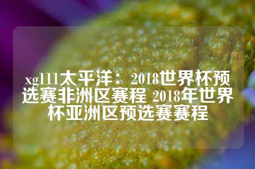 xg111太平洋：2018世界杯预选赛非洲区赛程 2018年世界杯亚洲区预选赛赛程