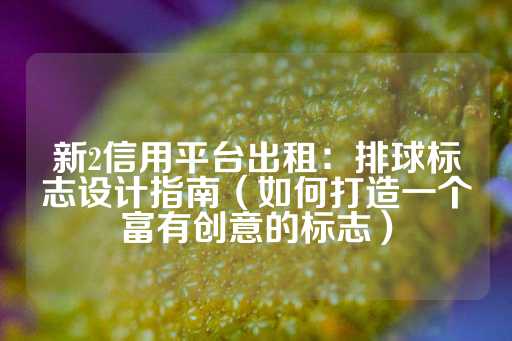 新2信用平台出租：排球标志设计指南（如何打造一个富有创意的标志）