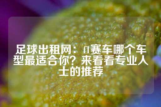 足球出租网：f1赛车哪个车型最适合你？来看看专业人士的推荐