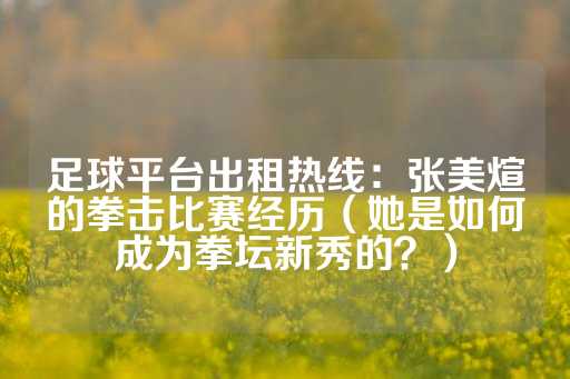 足球平台出租热线：张美煊的拳击比赛经历（她是如何成为拳坛新秀的？）