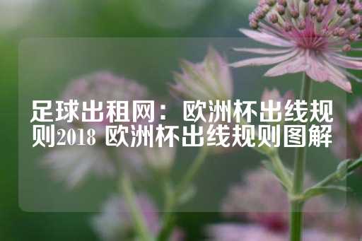 足球出租网：欧洲杯出线规则2018 欧洲杯出线规则图解-第1张图片-皇冠信用盘出租