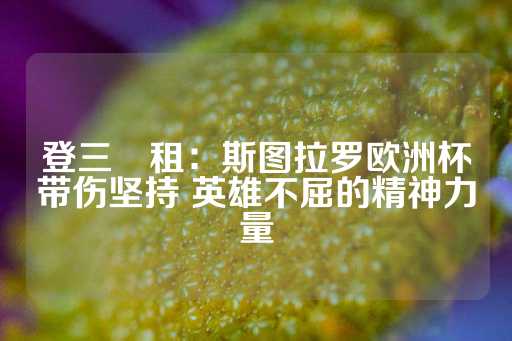 登三岀租：斯图拉罗欧洲杯带伤坚持 英雄不屈的精神力量-第1张图片-皇冠信用盘出租