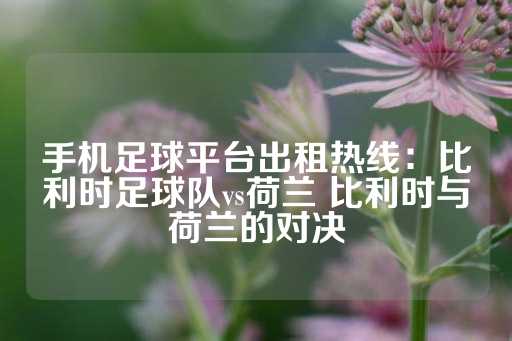 手机足球平台出租热线：比利时足球队vs荷兰 比利时与荷兰的对决