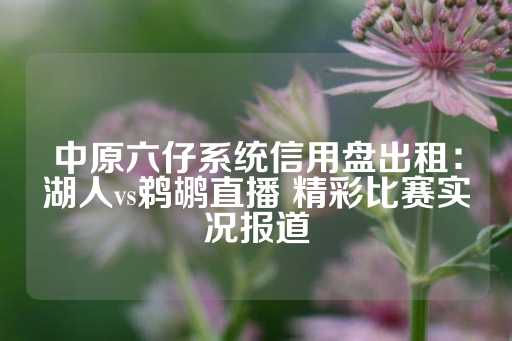 中原六仔系统信用盘出租：湖人vs鹈鹕直播 精彩比赛实况报道