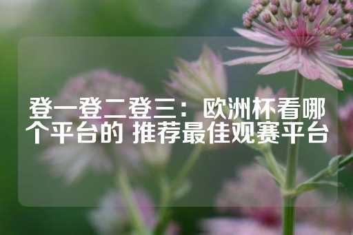 登一登二登三：欧洲杯看哪个平台的 推荐最佳观赛平台