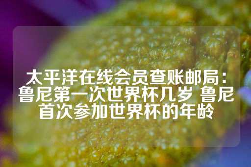 太平洋在线会员查账邮局：鲁尼第一次世界杯几岁 鲁尼首次参加世界杯的年龄-第1张图片-皇冠信用盘出租