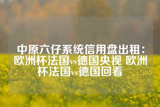 中原六仔系统信用盘出租：欧洲杯法国vs德国央视 欧洲杯法国vs德国回看