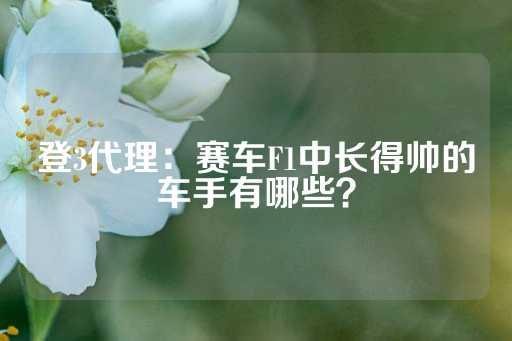 登3代理：赛车F1中长得帅的车手有哪些？