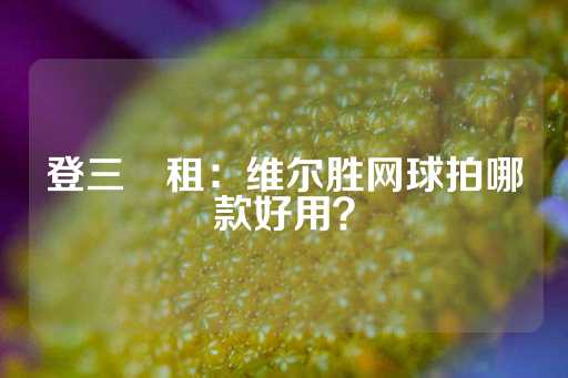 登三岀租：维尔胜网球拍哪款好用？-第1张图片-皇冠信用盘出租