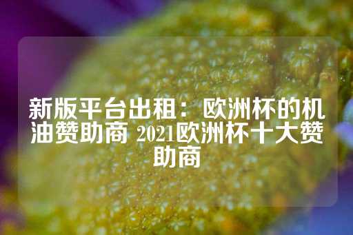 新版平台出租：欧洲杯的机油赞助商 2021欧洲杯十大赞助商