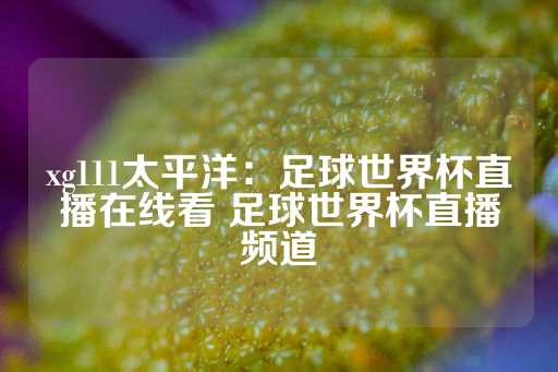 xg111太平洋：足球世界杯直播在线看 足球世界杯直播频道