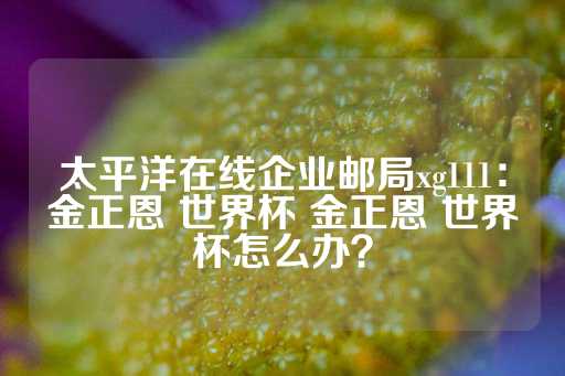 太平洋在线企业邮局xg111：金正恩 世界杯 金正恩 世界杯怎么办？-第1张图片-皇冠信用盘出租