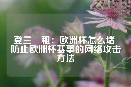 登三岀租：欧洲杯怎么堵 防止欧洲杯赛事的网络攻击方法