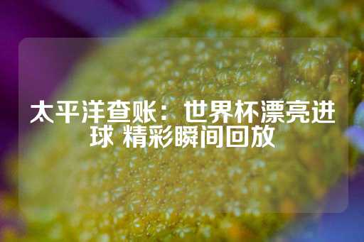 太平洋查账：世界杯漂亮进球 精彩瞬间回放