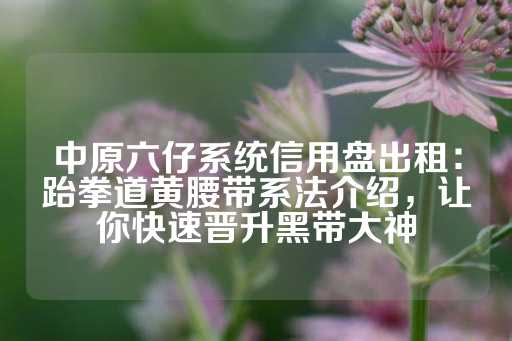 中原六仔系统信用盘出租：跆拳道黄腰带系法介绍，让你快速晋升黑带大神