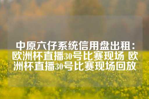 中原六仔系统信用盘出租：欧洲杯直播30号比赛现场 欧洲杯直播30号比赛现场回放