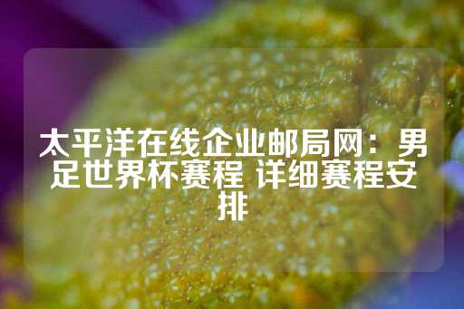 太平洋在线企业邮局网：男足世界杯赛程 详细赛程安排