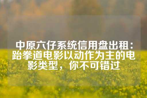 中原六仔系统信用盘出租：跆拳道电影以动作为主的电影类型，你不可错过