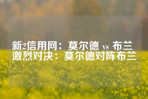 新2信用网：莫尔德 vs 布兰 激烈对决：莫尔德对阵布兰-第1张图片-皇冠信用盘出租