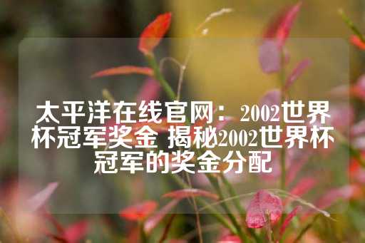 太平洋在线官网：2002世界杯冠军奖金 揭秘2002世界杯冠军的奖金分配