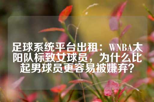 足球系统平台出租：WNBA太阳队标致女球员，为什么比起男球员更容易被嫌弃？-第1张图片-皇冠信用盘出租