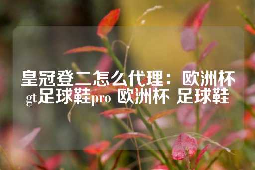 皇冠登二怎么代理：欧洲杯gt足球鞋pro 欧洲杯 足球鞋-第1张图片-皇冠信用盘出租