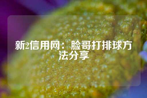 新2信用网：脸哥打排球方法分享-第1张图片-皇冠信用盘出租