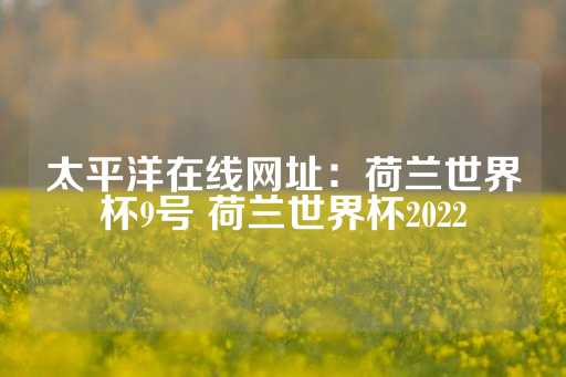 太平洋在线网址：荷兰世界杯9号 荷兰世界杯2022-第1张图片-皇冠信用盘出租