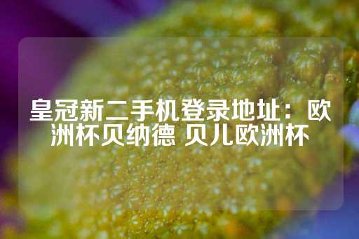 皇冠新二手机登录地址：欧洲杯贝纳德 贝儿欧洲杯-第1张图片-皇冠信用盘出租