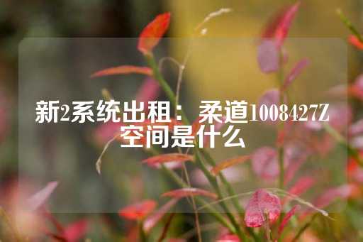 新2系统出租：柔道1008427Z空间是什么