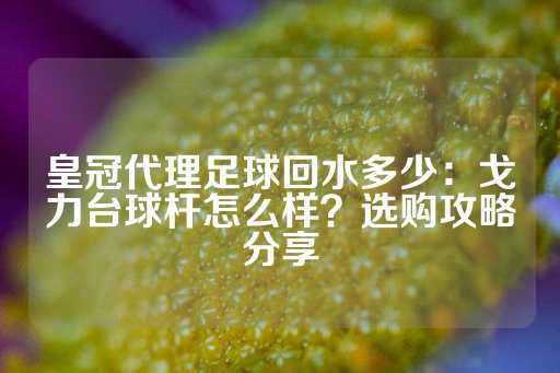 皇冠代理足球回水多少：戈力台球杆怎么样？选购攻略分享-第1张图片-皇冠信用盘出租