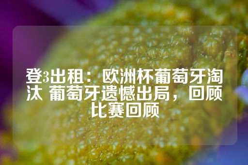 登3出租：欧洲杯葡萄牙淘汰 葡萄牙遗憾出局，回顾比赛回顾