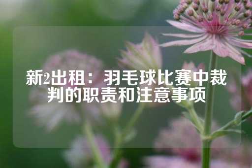 新2出租：羽毛球比赛中裁判的职责和注意事项-第1张图片-皇冠信用盘出租