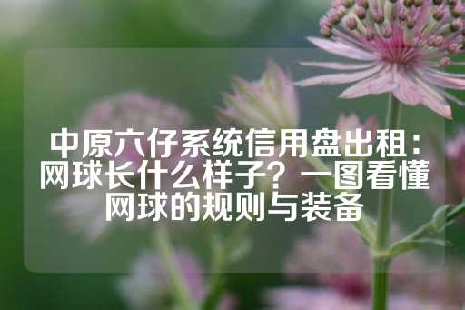 中原六仔系统信用盘出租：网球长什么样子？一图看懂网球的规则与装备