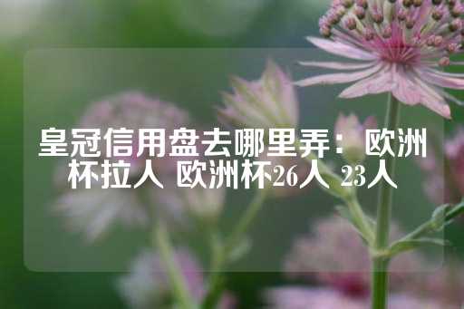 皇冠信用盘去哪里弄：欧洲杯拉人 欧洲杯26人 23人