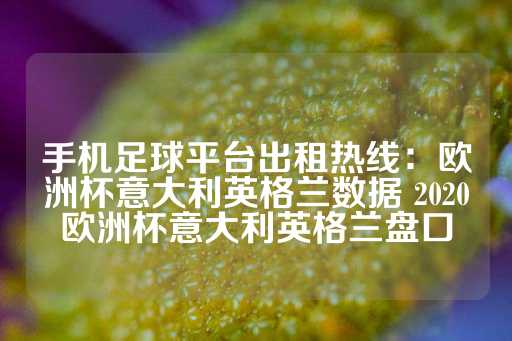 手机足球平台出租热线：欧洲杯意大利英格兰数据 2020欧洲杯意大利英格兰盘口