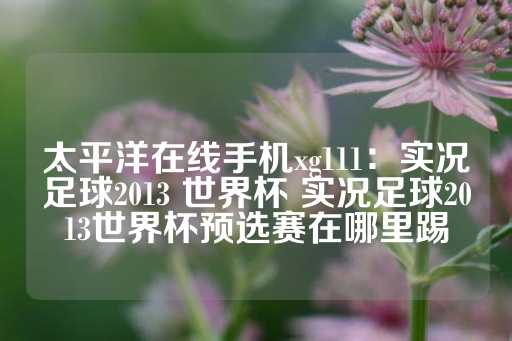 太平洋在线手机xg111：实况足球2013 世界杯 实况足球2013世界杯预选赛在哪里踢