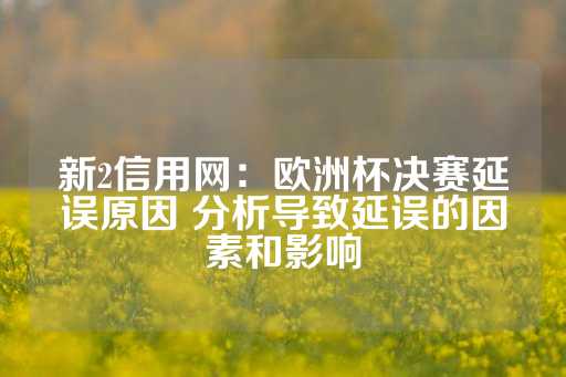 新2信用网：欧洲杯决赛延误原因 分析导致延误的因素和影响