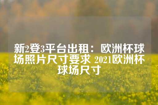 新2登3平台出租：欧洲杯球场照片尺寸要求 2021欧洲杯球场尺寸