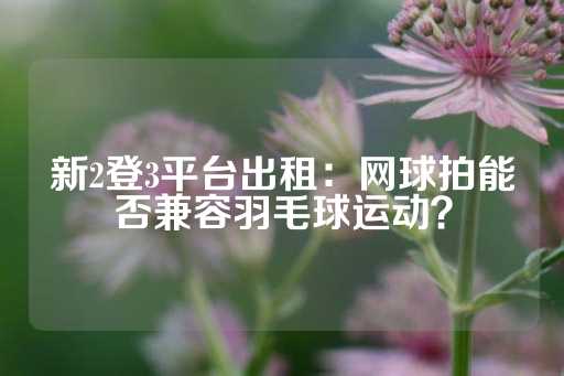 新2登3平台出租：网球拍能否兼容羽毛球运动？