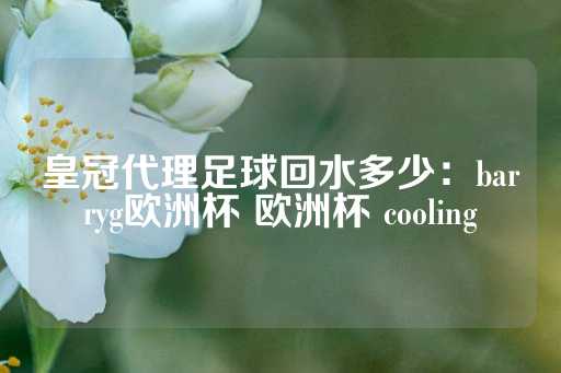 皇冠代理足球回水多少：barryg欧洲杯 欧洲杯 cooling