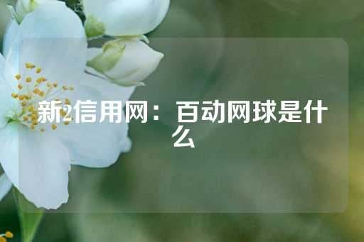 新2信用网：百动网球是什么