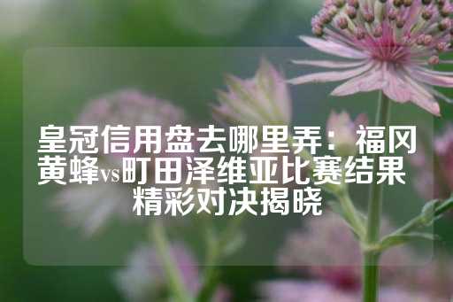 皇冠信用盘去哪里弄：福冈黄蜂vs町田泽维亚比赛结果 精彩对决揭晓-第1张图片-皇冠信用盘出租